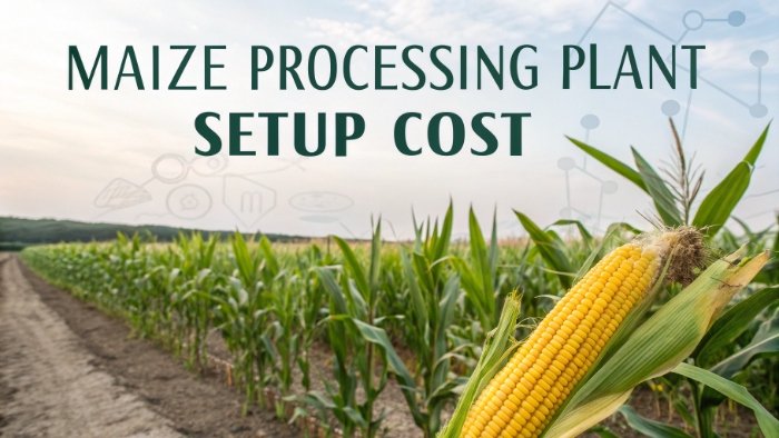 Maize Processing Plant Setup Cost: Feasibility and Profitability Roadmap for Investors